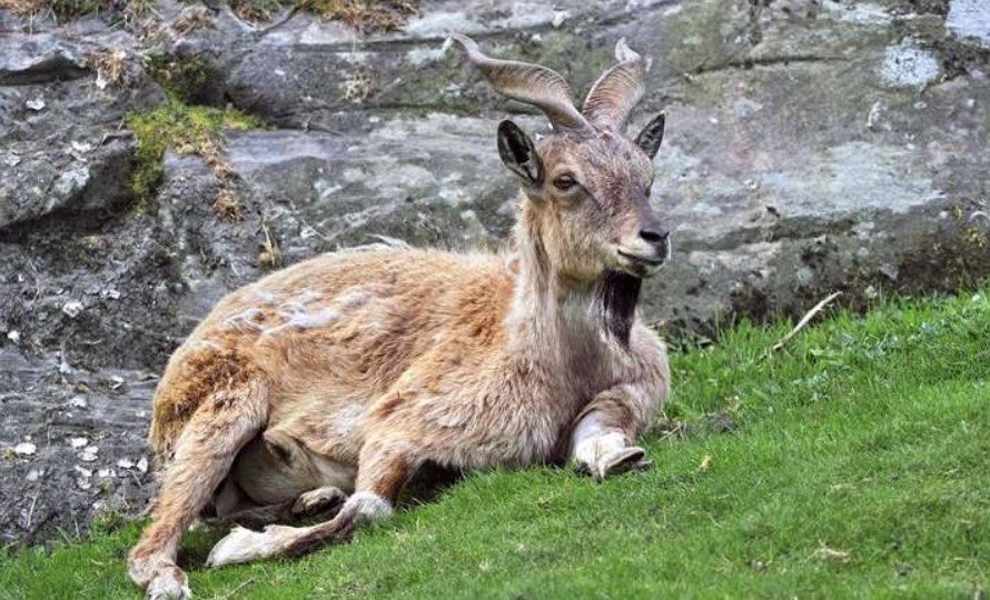 Lachipora Wildlife Sanctuary